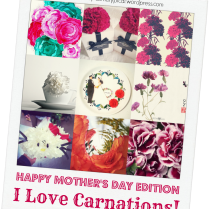 I Love Carnations